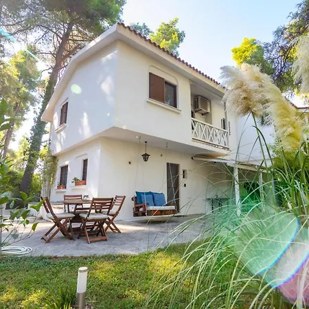 F & B Summer Collection - Kassandra - Sani - Montagna