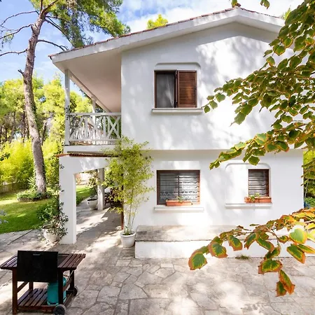 F & B Summer Collection - Kassandra - Sani - Montagna *