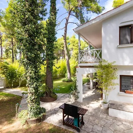 F & B Summer Collection - Kassandra - Sani - Montagna Apartment
