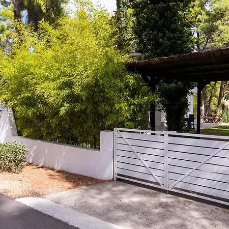 Apartment F & B Summer Collection - Kassandra - Sani - Montagna Sani (Chalkidiki)