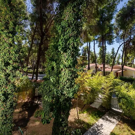 F & B Summer Collection - Kassandra - Sani - Montagna Apartment Sani (Chalkidiki)
